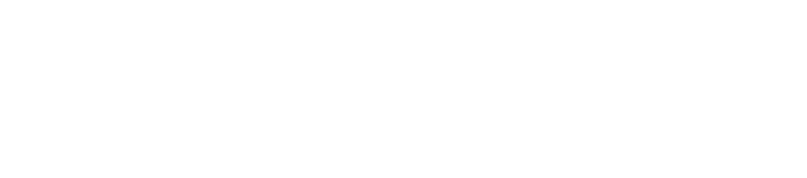 logo-bullphishid-white